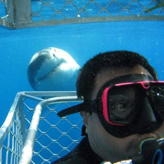 Bildschirmarbeiter - Picdump KW 51/2025