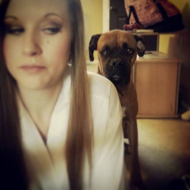 Bildschirmarbeiter - Picdump KW 51/2025