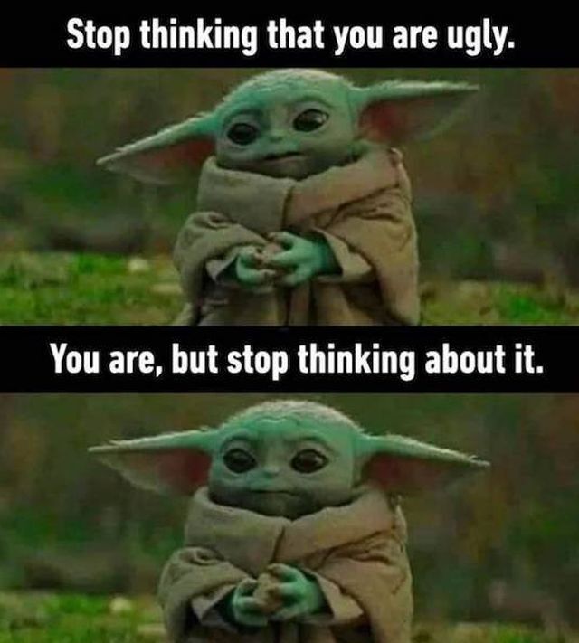 Bildschirmarbeiter - Picdump KW 51/2025