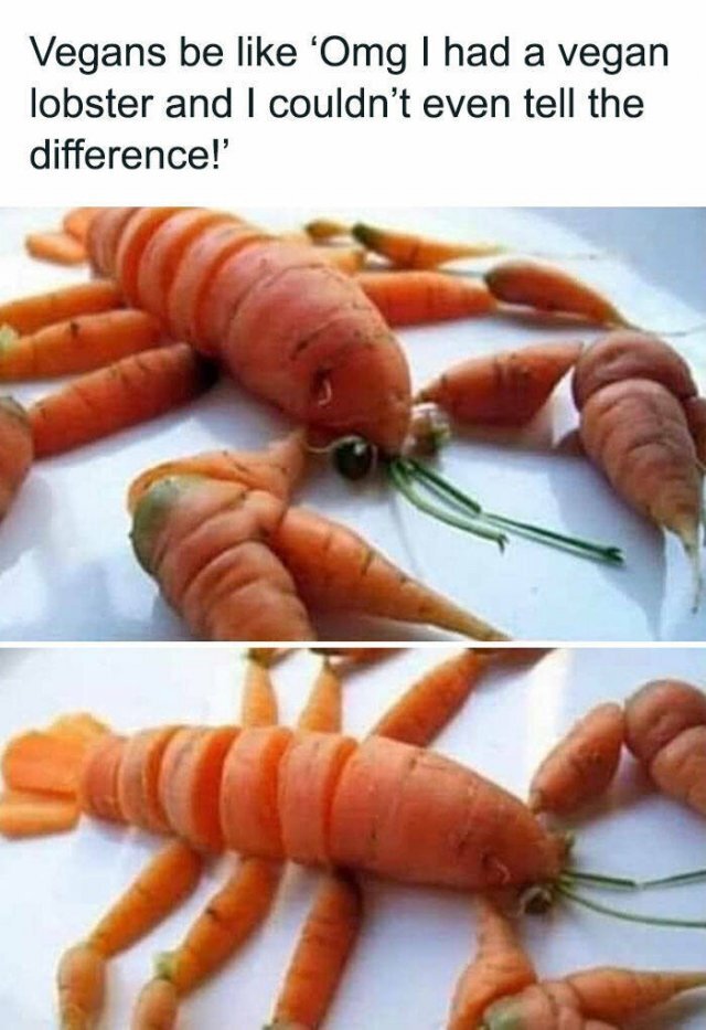 Bildschirmarbeiter - Picdump KW 51/2025