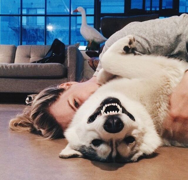 Bildschirmarbeiter - Picdump KW 51/2025