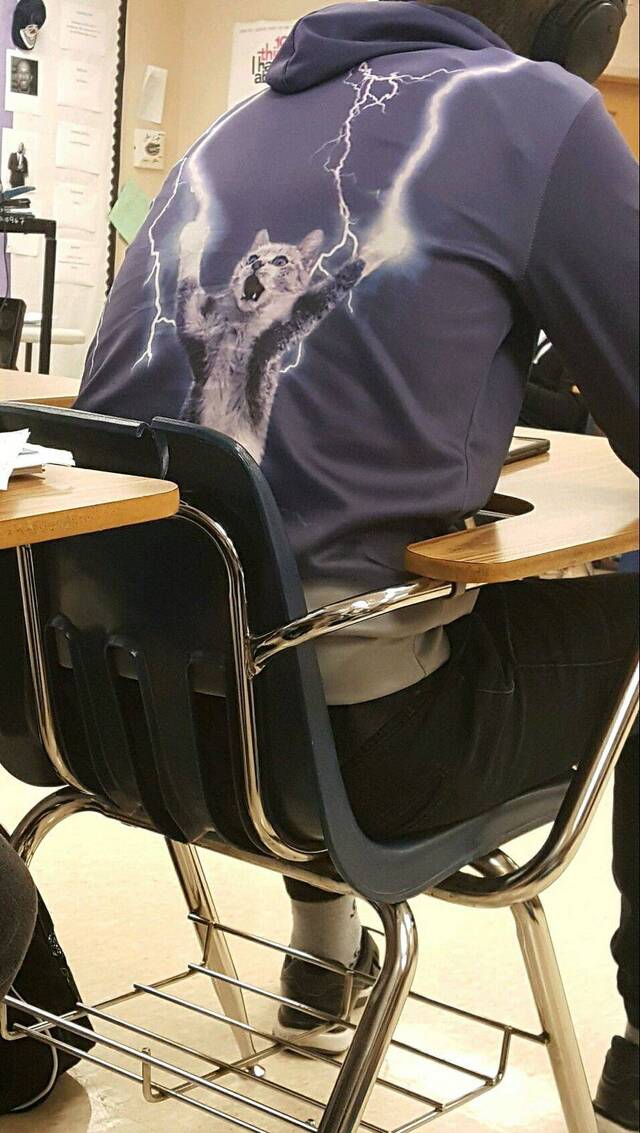 Bildschirmarbeiter - Picdump KW 51/2025