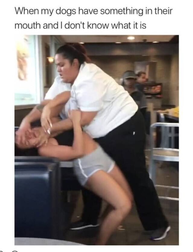 Bildschirmarbeiter - Picdump KW 51/2025