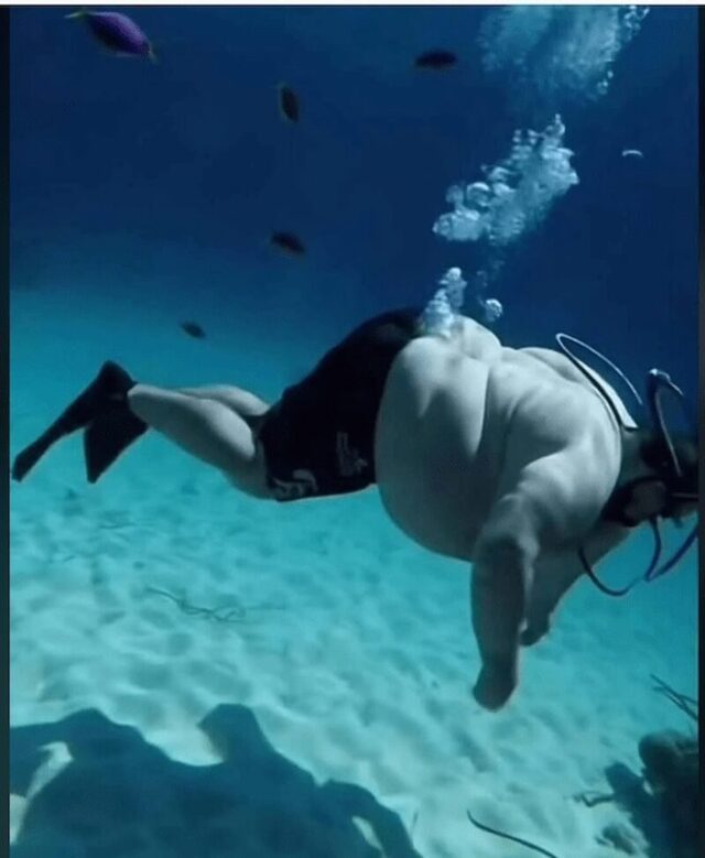 Bildschirmarbeiter - Picdump KW 51/2025