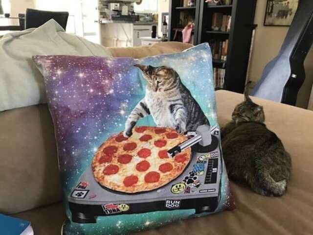 Bildschirmarbeiter - Picdump KW 51/2025