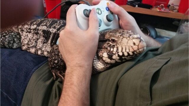 Bildschirmarbeiter - Picdump KW 51/2025