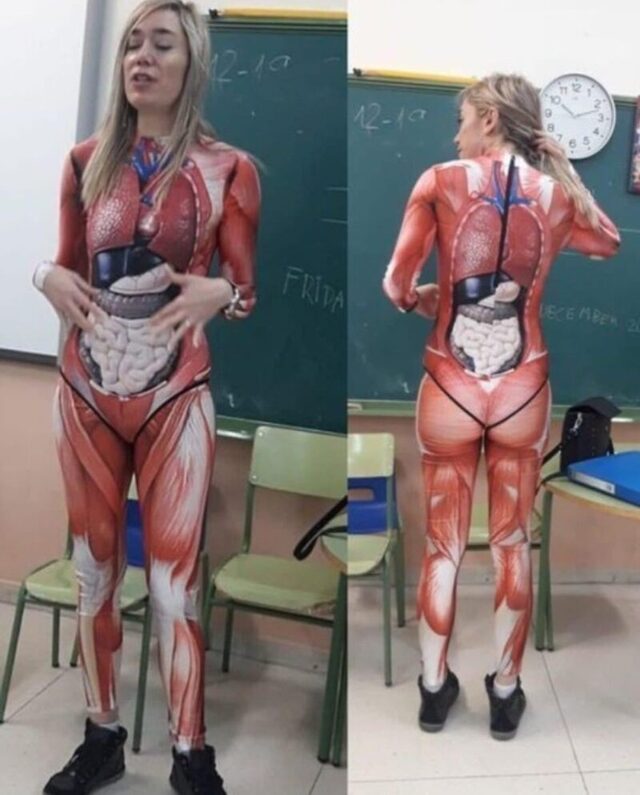 Bildschirmarbeiter - Picdump KW 51/2025