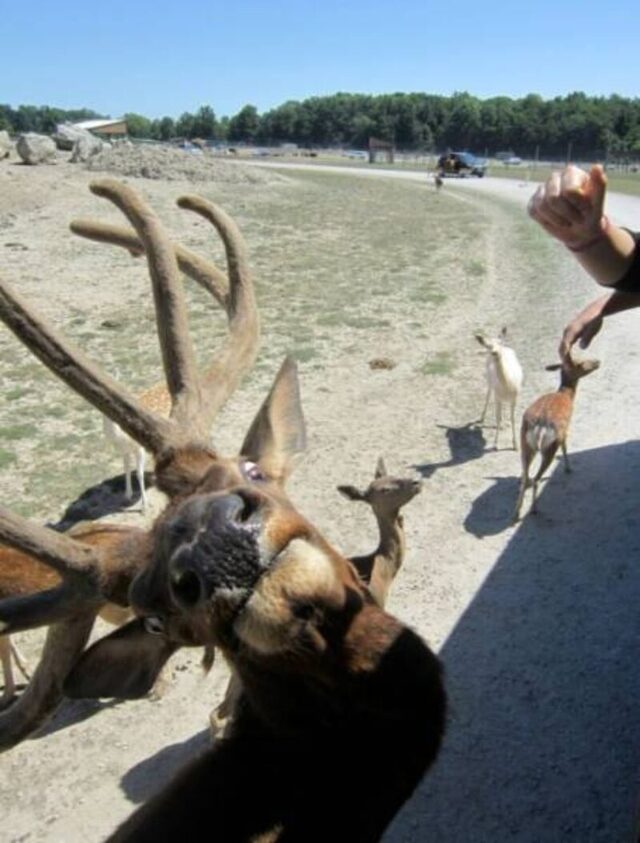 Bildschirmarbeiter - Picdump KW 51/2025