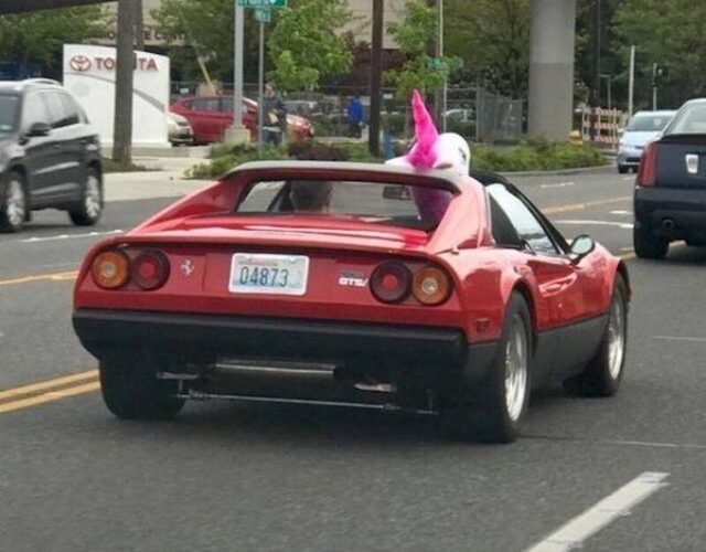 Bildschirmarbeiter - Picdump KW 51/2025