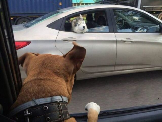 Bildschirmarbeiter - Picdump KW 51/2025