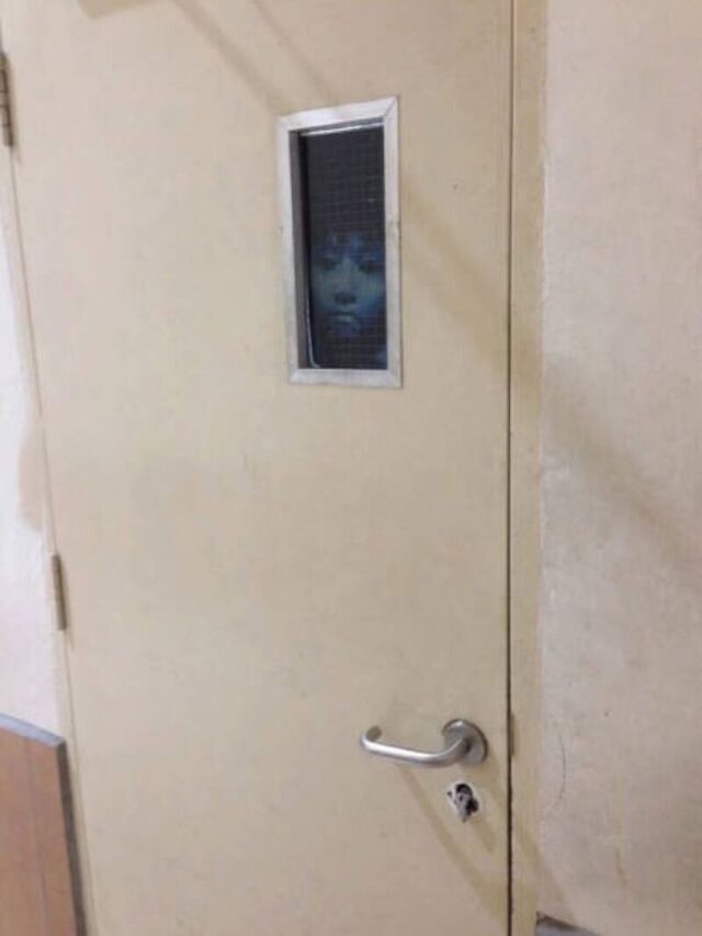 Bildschirmarbeiter - Picdump KW 51/2025