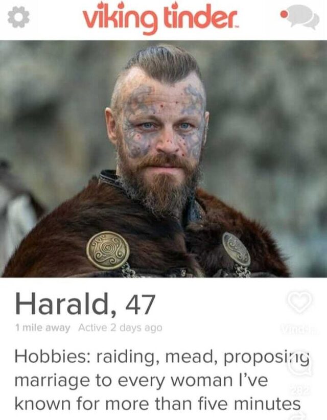 Bildschirmarbeiter - Picdump KW 51/2025