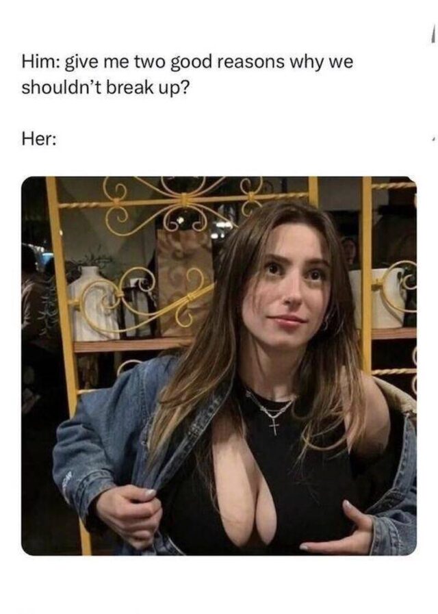 Bildschirmarbeiter - Picdump KW 51/2025