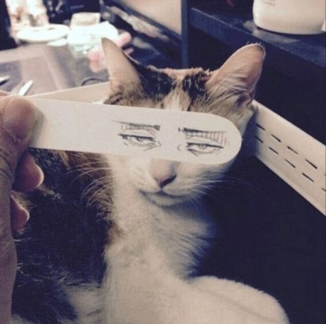 Nachschlag - Bildschirmarbeiter - Picdump KW 51/2025