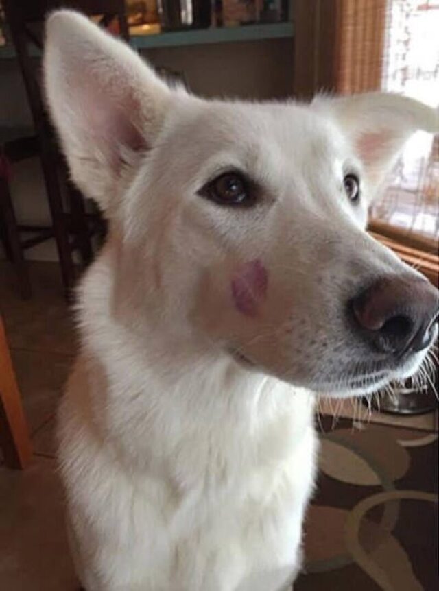 Nachschlag - Bildschirmarbeiter - Picdump KW 51/2025