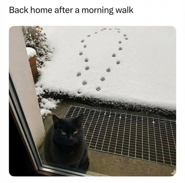 Nachschlag - Bildschirmarbeiter - Picdump KW 51/2025