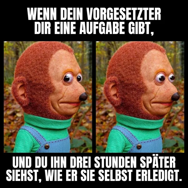 Bildschirmarbeiter - Picdump KW52 2021