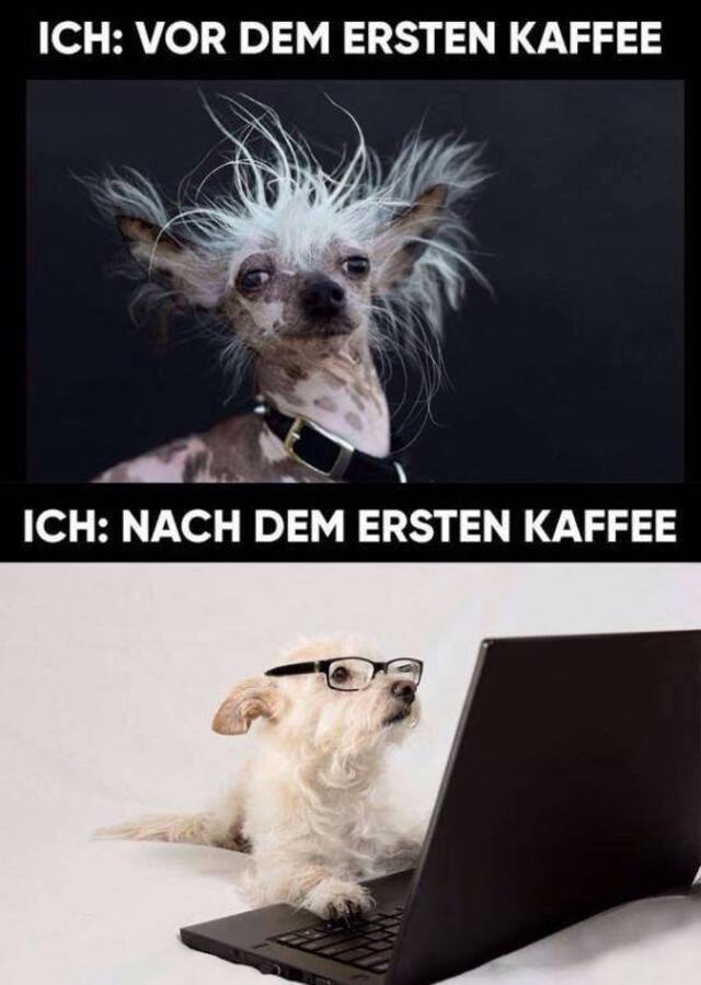 Bildschirmarbeiter - Picdump KW52 2021