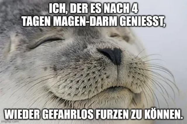 Bildschirmarbeiter - Picdump KW52 2021