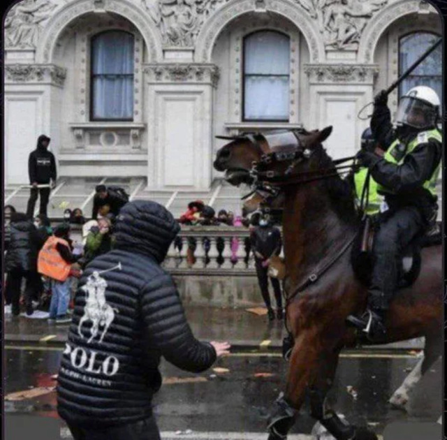 Bildschirmarbeiter - Picdump KW52 2021