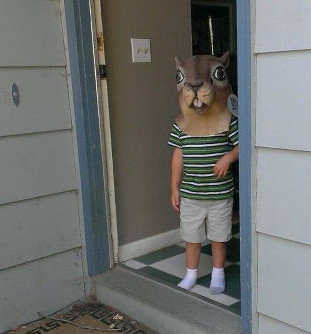 Bildschirmarbeiter - Picdump KW52 2021