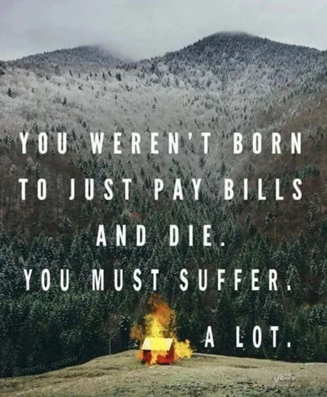 Bildschirmarbeiter - Picdump KW52 2021