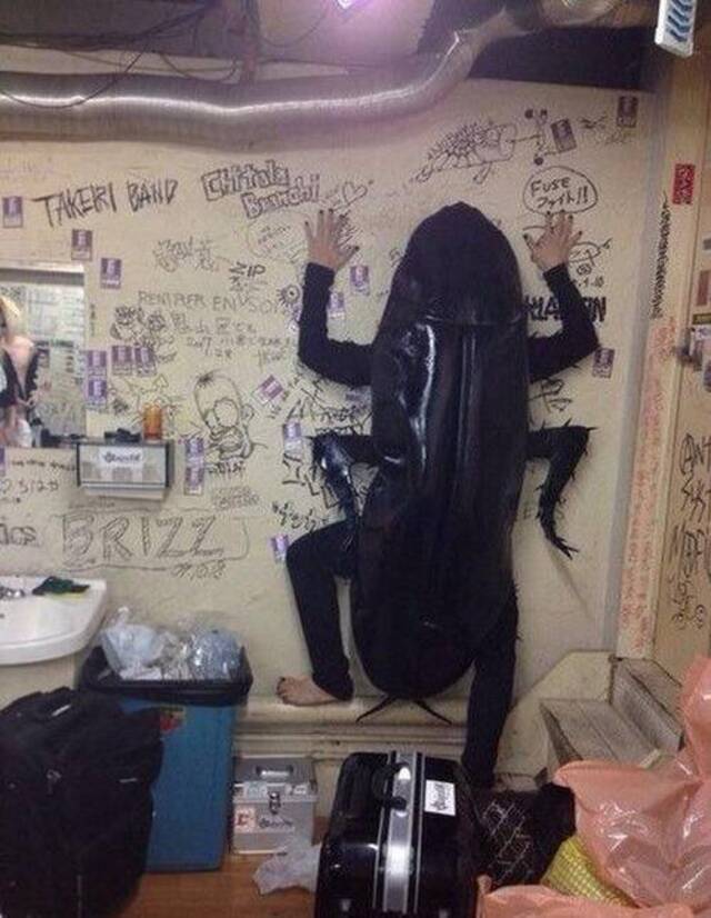 Bildschirmarbeiter - Picdump KW52 2021