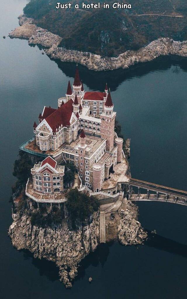 Bildschirmarbeiter - Picdump KW52 2021