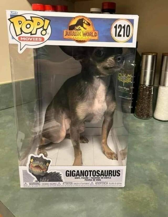 Bildschirmarbeiter - Picdump KW 52/2025