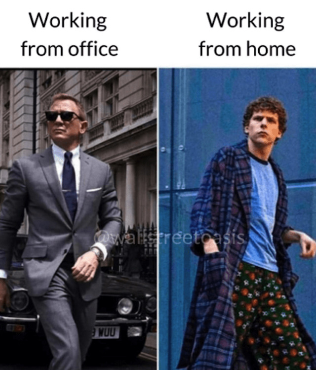 Bildschirmarbeiter - Picdump KW 52/2025