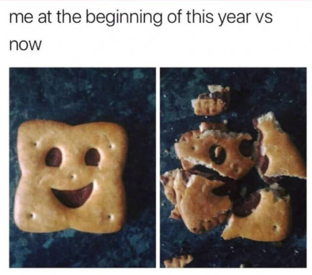 Bildschirmarbeiter - Picdump KW 52/2025