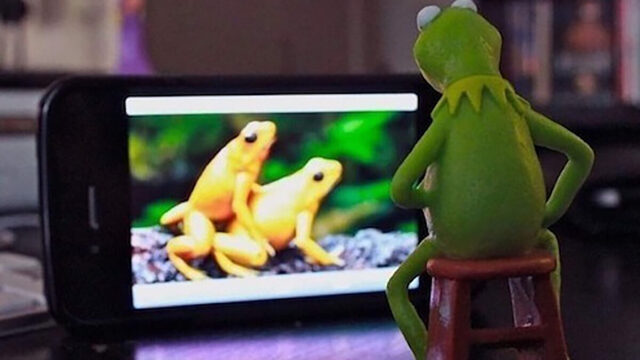 Bildschirmarbeiter - Picdump KW 52/2025