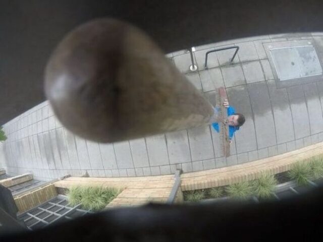 Bildschirmarbeiter - Picdump KW 52/2025