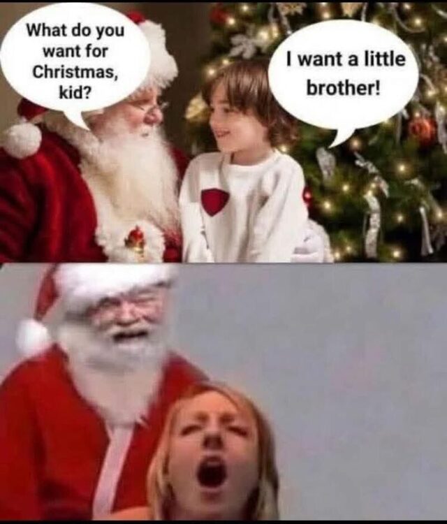 Bildschirmarbeiter - Picdump KW 52/2025