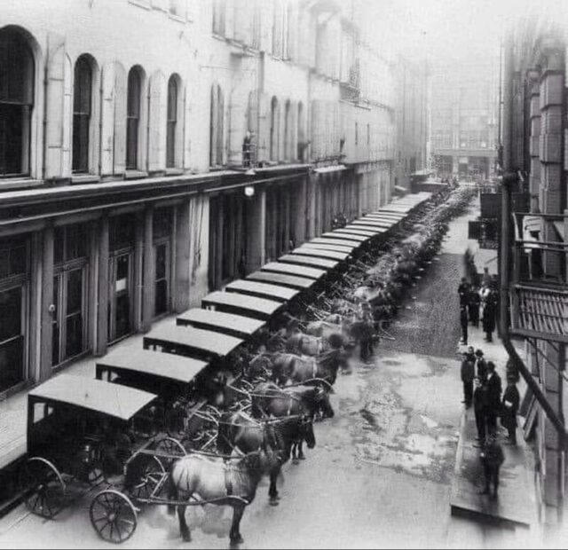 Bildschirmarbeiter - Picdump KW 52/2025