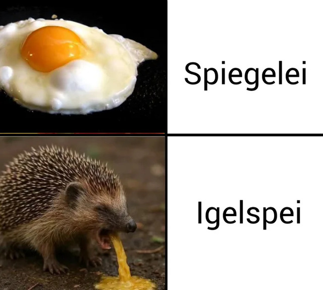 Bildschirmarbeiter - Picdump KW 52/2025