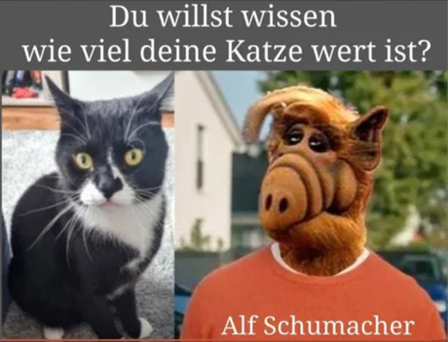 Bildschirmarbeiter - Picdump KW 52/2025