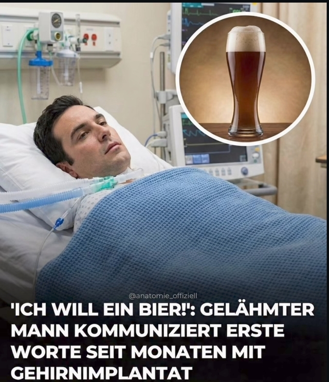 Bildschirmarbeiter - Picdump KW 52/2025