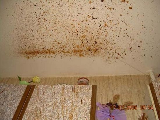 Schatz! Ich habe für dich lecker gekocht!