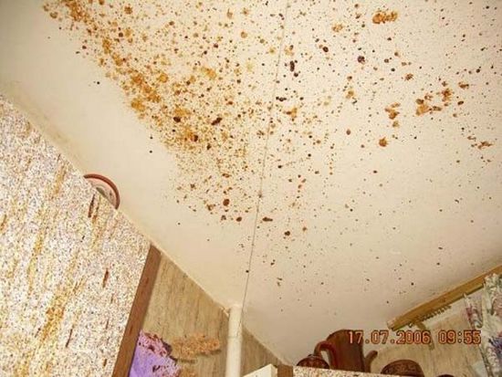 Schatz! Ich habe für dich lecker gekocht!