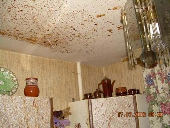 Schatz! Ich habe für dich lecker gekocht!