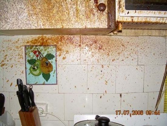 Schatz! Ich habe für dich lecker gekocht!