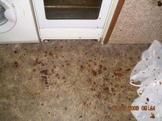 Schatz! Ich habe für dich lecker gekocht!