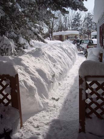 Schnee - viel Schnee