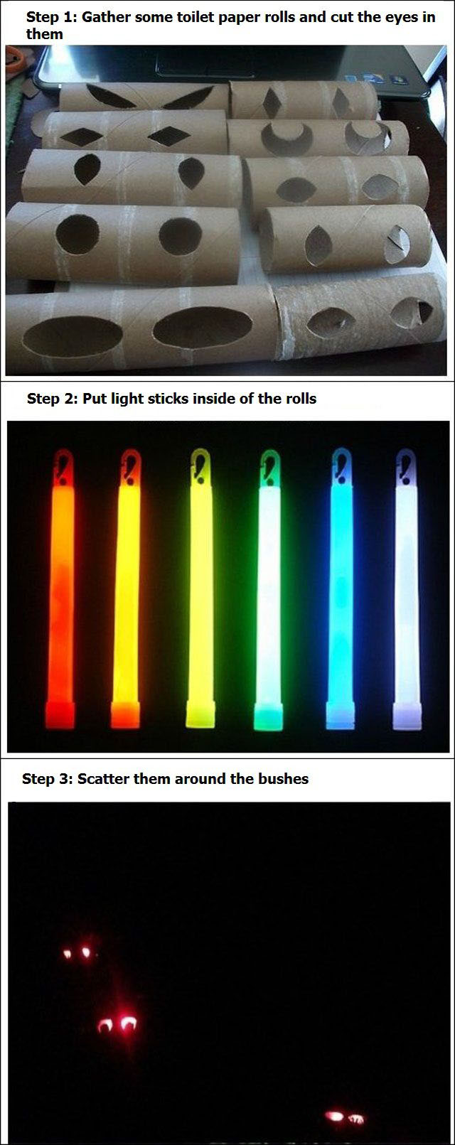 Toilettenrollen Prank