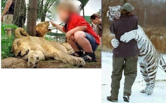 Wie der Vater so der Sohn