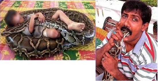 Wie der Vater so der Sohn