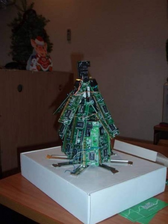 Weihnachtsbäume 2008