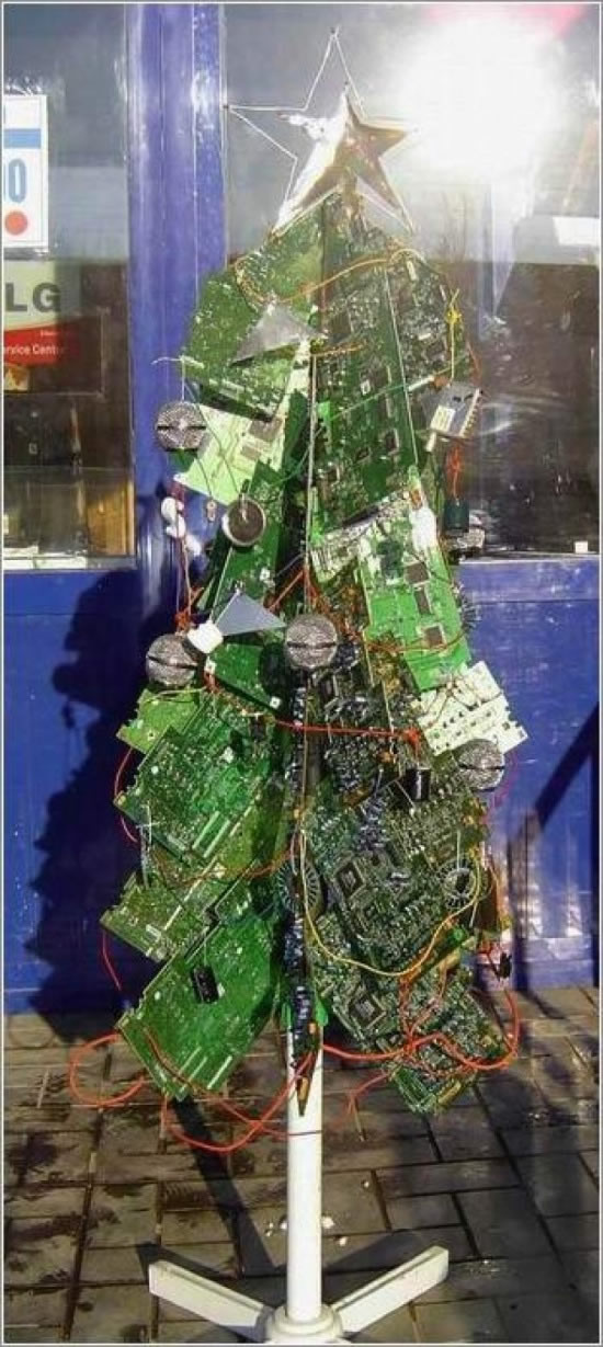 Weihnachtsbäume 2008