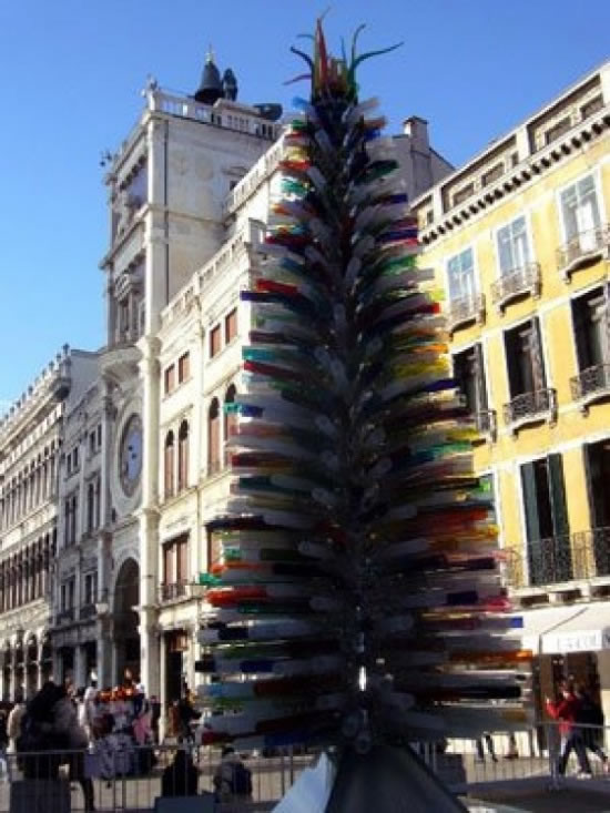 Weihnachtsbäume 2008